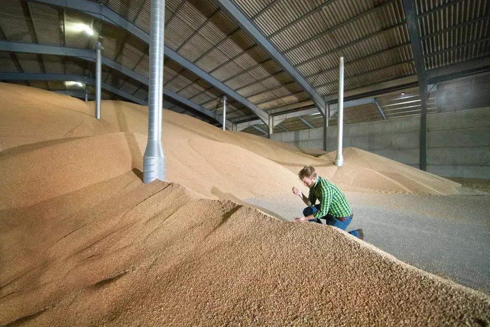 Mulch spontaneous combustion
